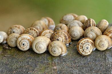 《漫威复仇者联盟》成首个同时支持DLSS和FSR的游戏