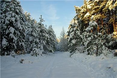 《抑郁的房间》5月4日正式发售 Demo现已上线