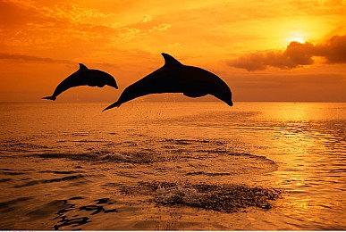 《战地6》上手体验：经典回归与全面破坏的战场盛宴